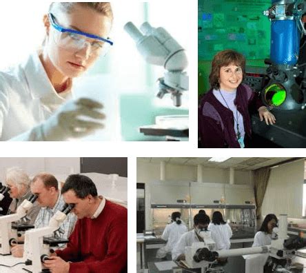 microscopist salary|salary wizard free.